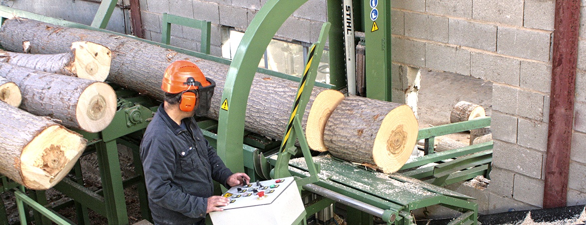 Entreprise familiale d'abaisse-langues en bois de peuplier