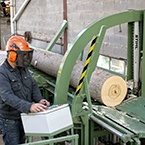 Entreprise familiale d'abaisse-langues en bois de peuplier